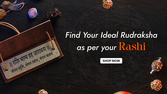 How to Pick the Right Rudraksha as Per Your Zodiac Sign?