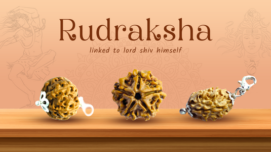 Rudraksha 101 : Origins, Significance, and How to use them?