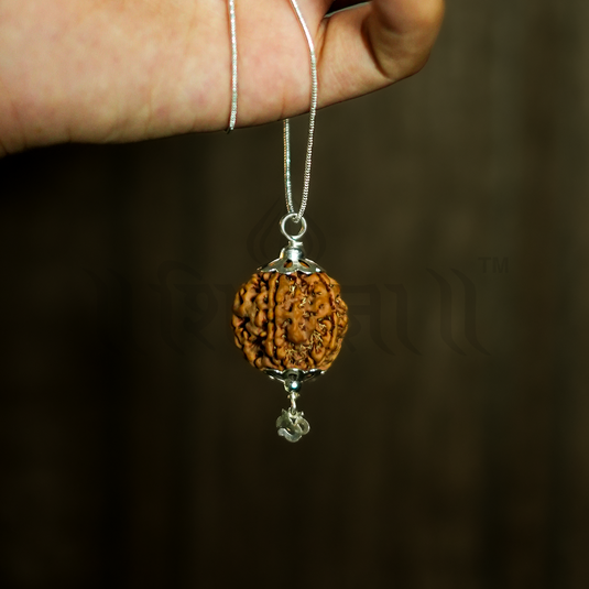 5 Mukhi Nepali Rudraksha for Pisces (Meen) and Sagittarius (Dhanu) Zodiac Signs