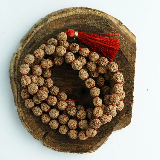 5 Mukhi Rudraksh Jaap Mala (Red String)