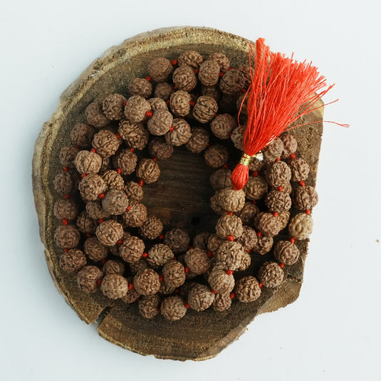 5 Mukhi Rudraksh Jaap Mala (Red String)