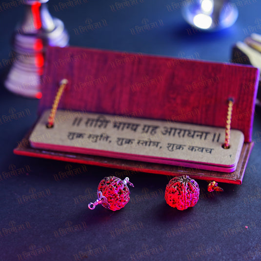 6 Mukhi Nepali Rudraksha for Taurus (Vrishabh) and Libra (Tula) Zodiac Signs