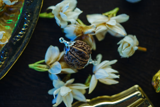 Ganesh Rudraksha