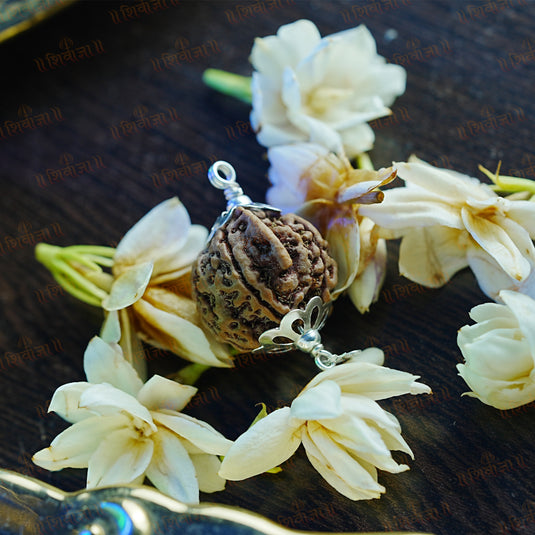 Ganesh Rudraksha