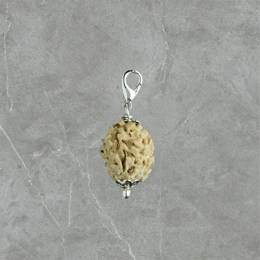 2 Mukhi Rudraksha