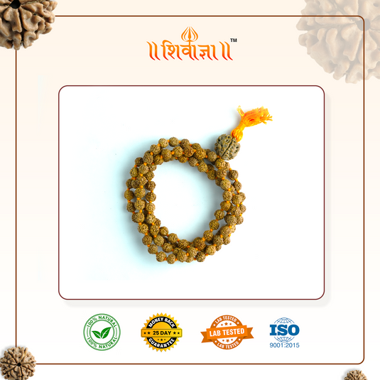 Bhagya Grah Rudraksha Mala