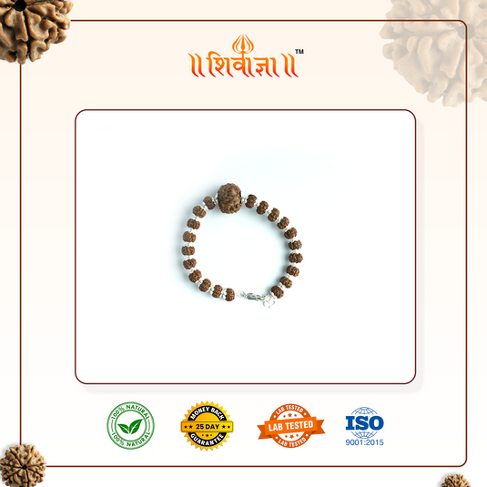 5 Mukhi Premium Bracelet