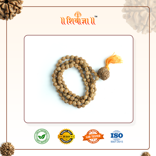 Bhagya Grah Rudraksha Mala