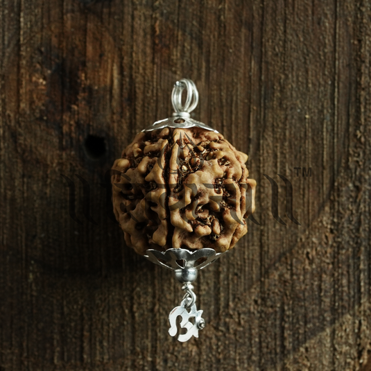 5 Mukhi Nepali Rudraksha for Pisces (Meen) and Sagittarius (Dhanu) Zodiac Signs