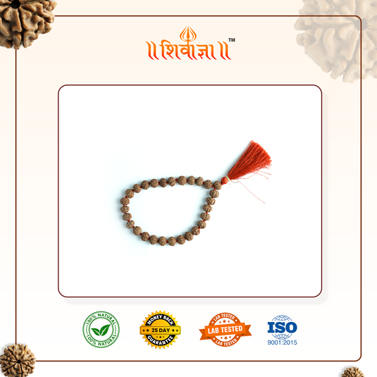 Rudraksha Sumarni ( 27 Beads For Jaap )