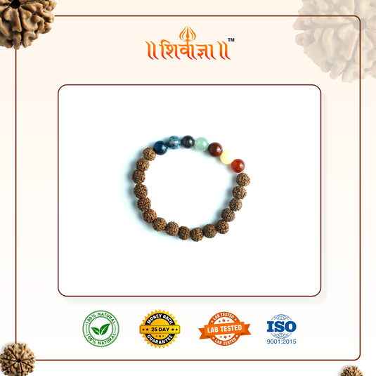 Rudrakasha + 7 Chakra Bracelet