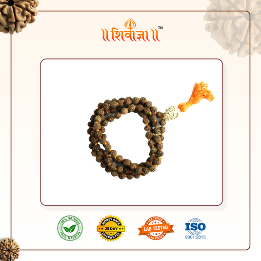 Bhagya Grah Rudraksha Mala