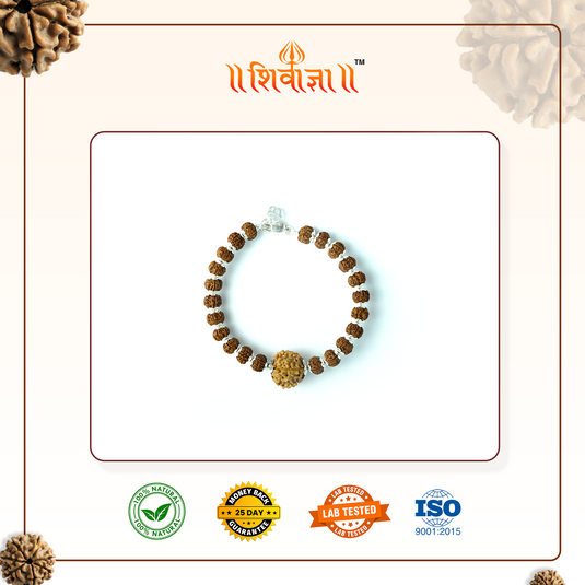 5 Mukhi Premium Bracelet